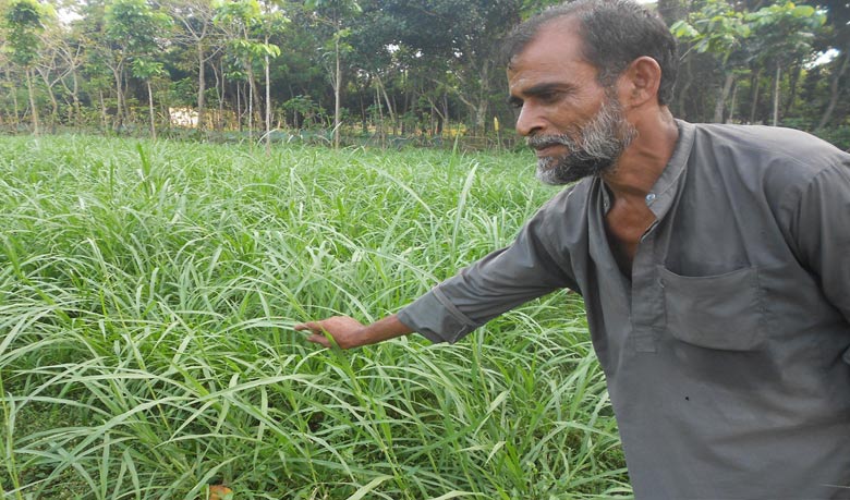 কৃষক নয়, ফসলের পরিচর্যা করবে রোবট