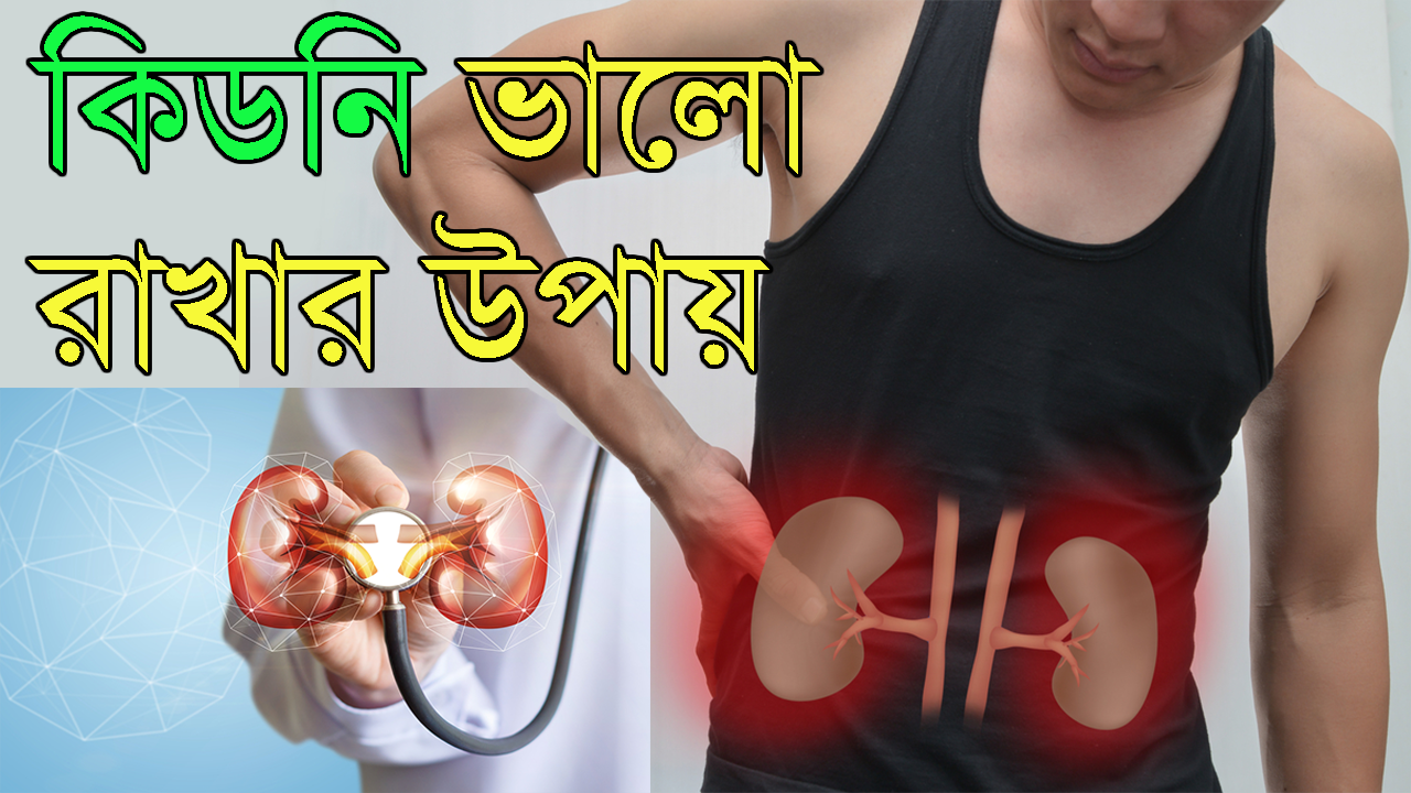 কিডনি ভালো রাখার উপায়: কিডনিতে পাথর হওয়া প্রতিরোধে ১০টি খাবার