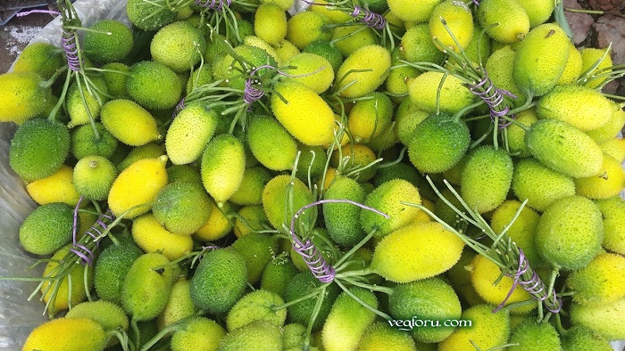 কাঁকরোল খাওয়ার উপকারিতা