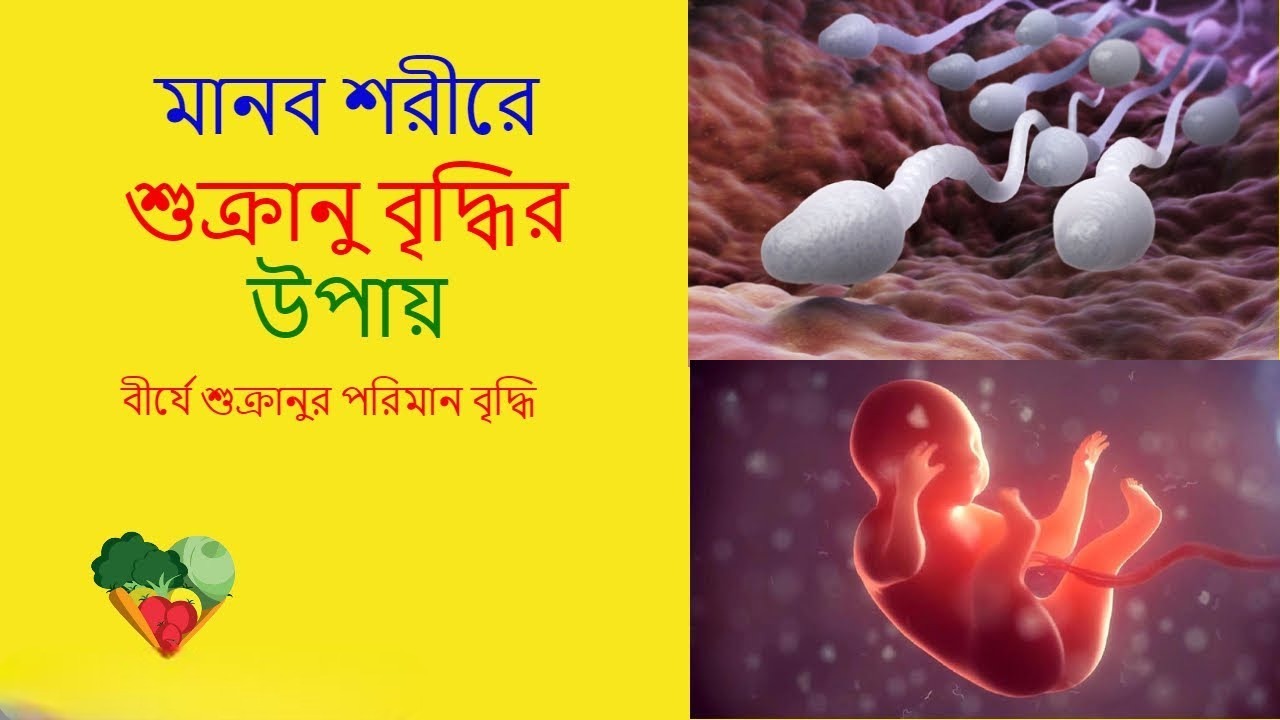 শু’ক্রাণুর সক্ষমতা বাড়ানোর কিছু টিপস
