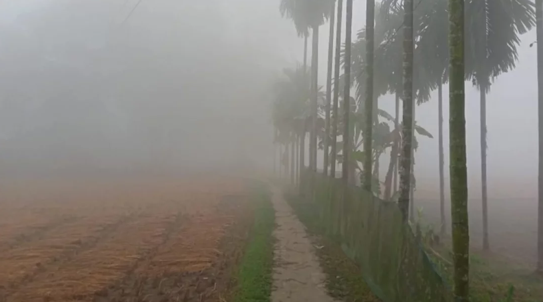 ঘন কুয়াশা ও শীতের পূর্বাভাসে আবহাওয়া অধিদপ্তরের সতর্কতা