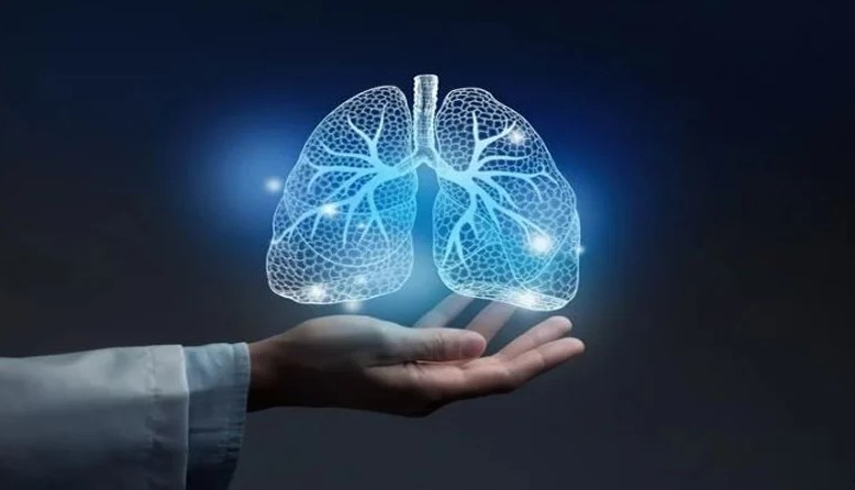 শীতে ফুসফুস সুস্থ রাখতে এই ৫টি অভ্যাস জরুরি