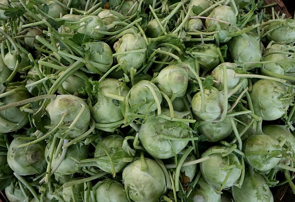 রোগ প্রতিরোধ থেকে হার্টের সুরক্ষা—ওলকপির তিন অসাধারণ উপকারিতা