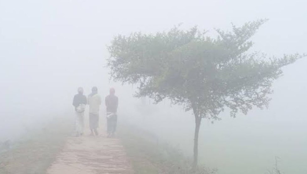 এই মাসে কি আরও শৈত্যপ্রবাহ আসার সম্ভাবনা জানুন বিস্তারিত