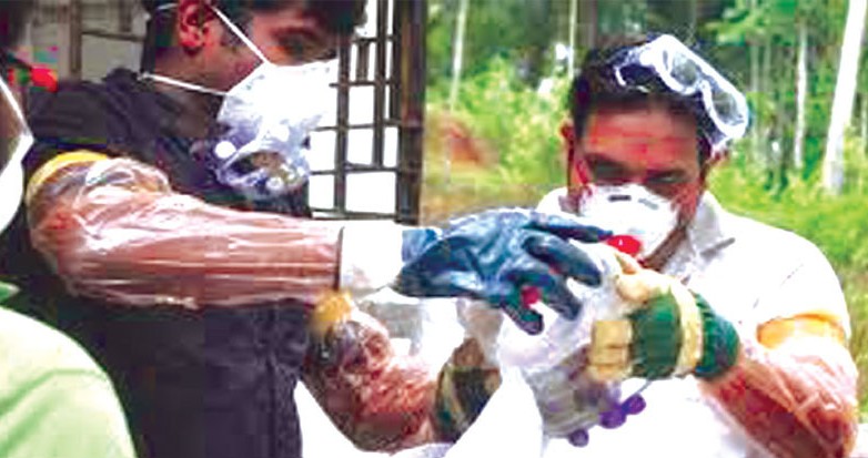 নিপা ভাইরাস সম্প্রতি আক্রান্তের খবর