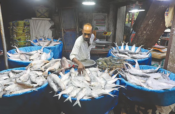ভরা মৌসুমেও নাগালের বাইরে ইলিশ, কমছে উৎপাদন